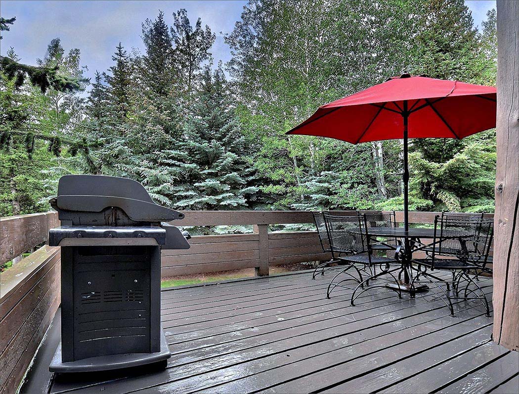 Mail level views and gas BBQ Grill.