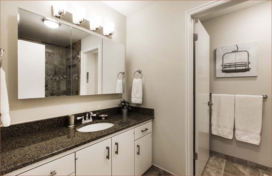 Master bathroom with sink, toilet and shower.