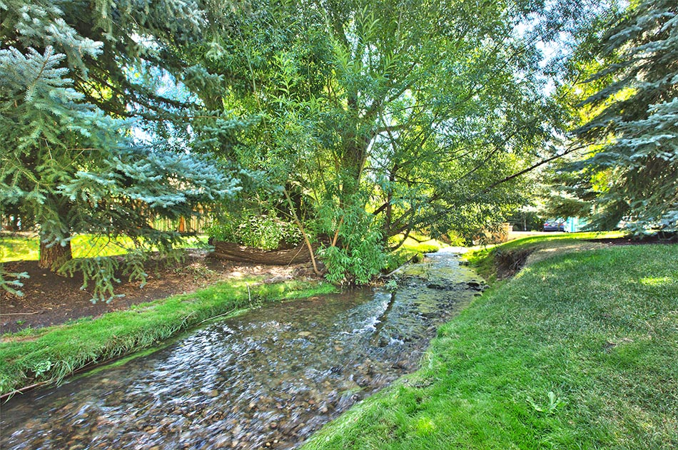 Quiet, restful setting along a year round, running mountain stream.