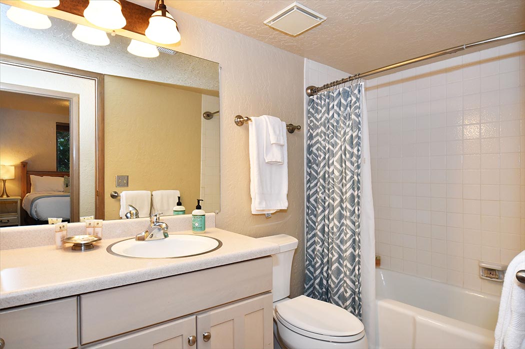 The downstairs bathroom is shared by the twin, queen and downstairs game room.